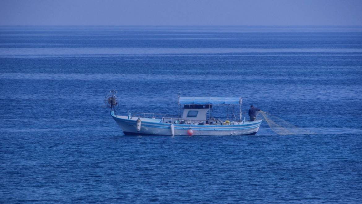 Aνάκληση του συνόλου των προϊόντων « ΞΙΦΙΑ ΦΕΤΑ SHRINK 1019» με ΗΜ. ΚΑΤΑΨΥΞΗΣ 05/02/2025