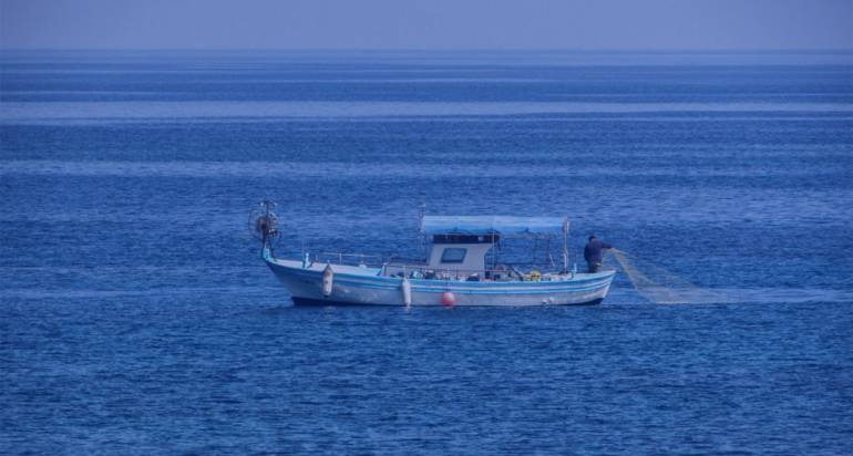 Aνάκληση του συνόλου των προϊόντων « ΞΙΦΙΑ ΦΕΤΑ SHRINK 1019» με ΗΜ. ΚΑΤΑΨΥΞΗΣ 05/02/2025